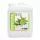 Verbena mix 5L